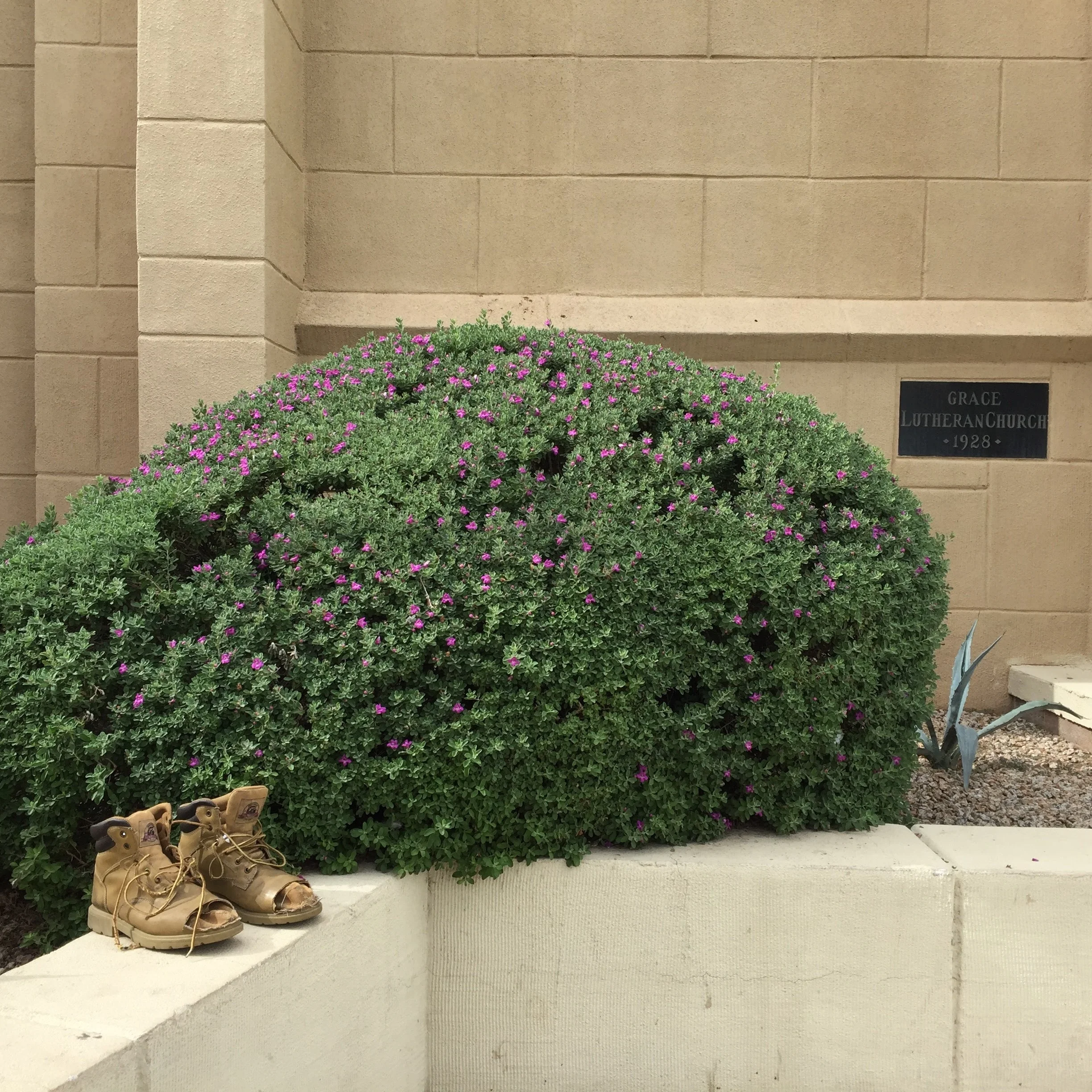 Sermon: June 18, 2017