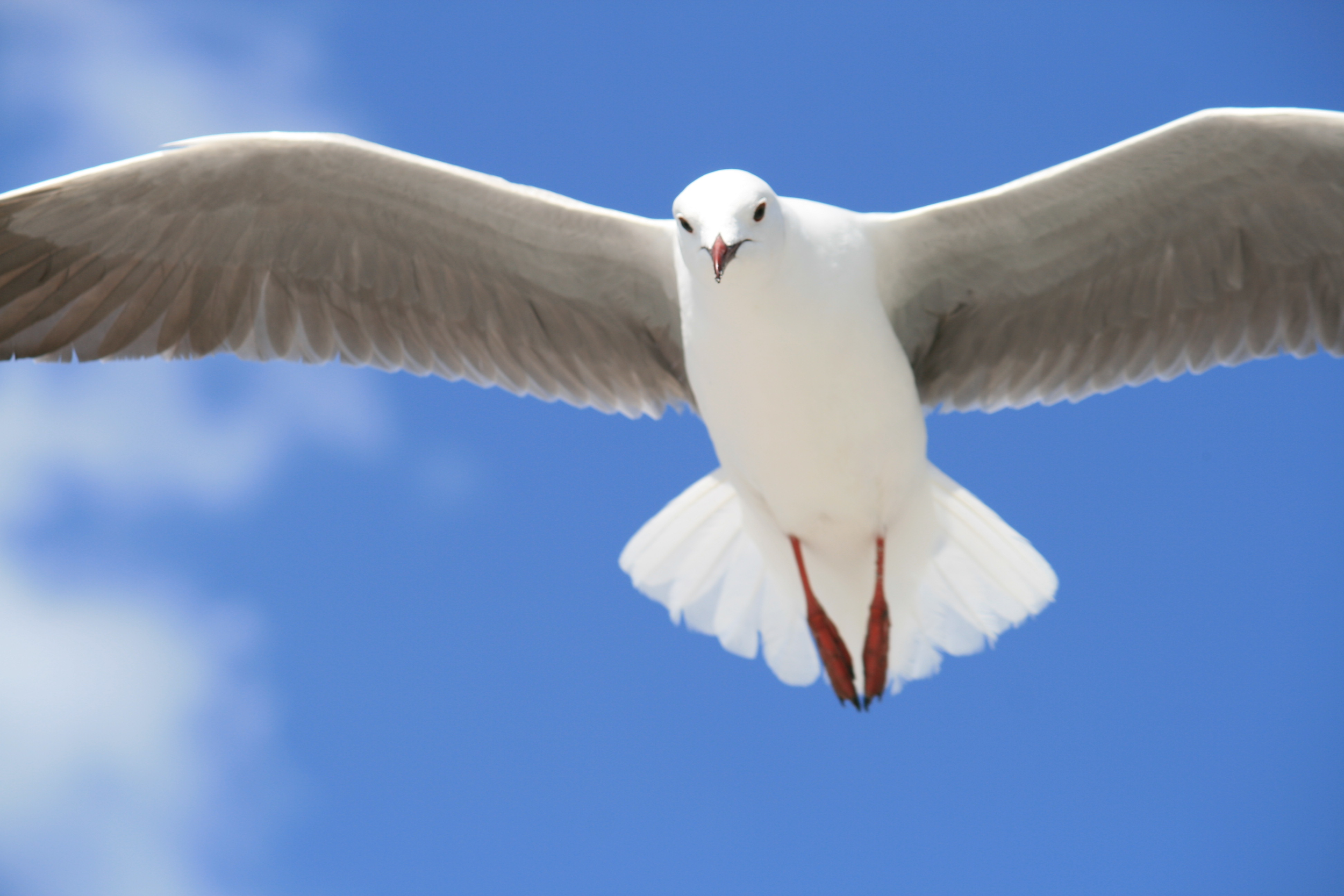 Diakonia Information Nights