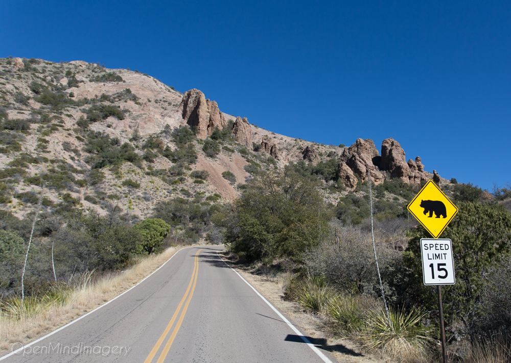 BigBend_OpenMindImagery-16.jpg
