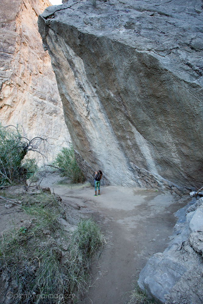 BigBend_OpenMindImagery-19.jpg