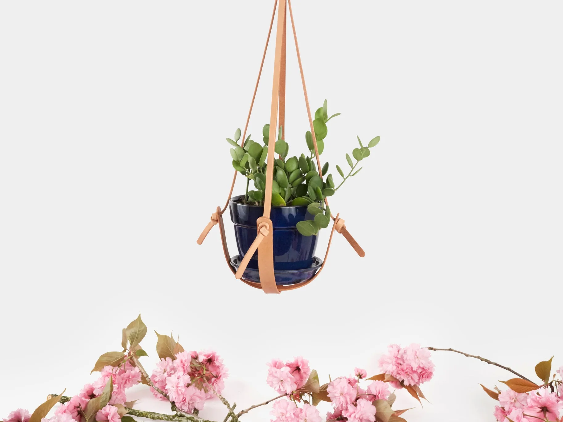 KnotHolder-Mid-Detail-FlowerBottom.jpg
