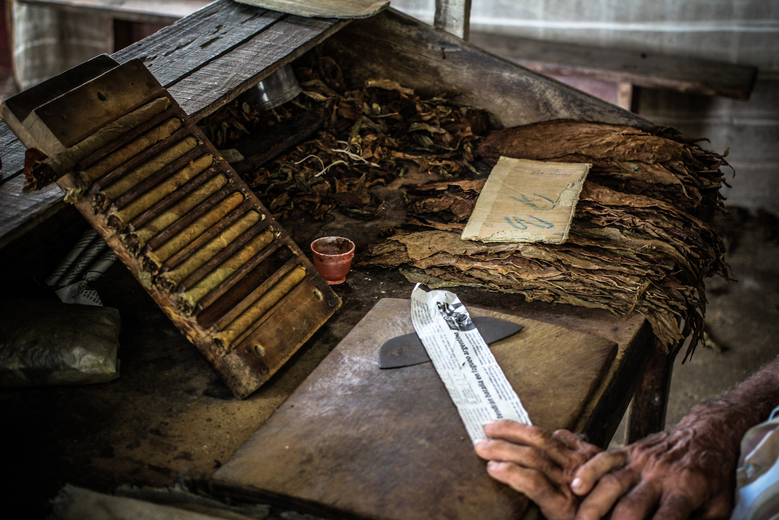 "Finca Robaina, Vinales, Cuba" 2013