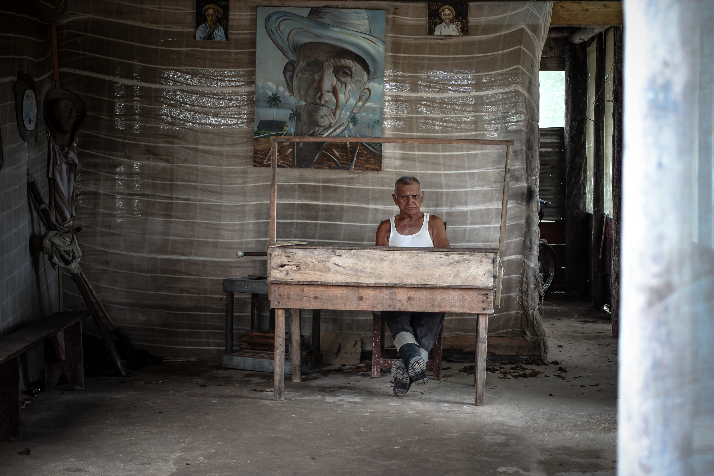 "Finca Robaina, Vinales, Cuba" 2013