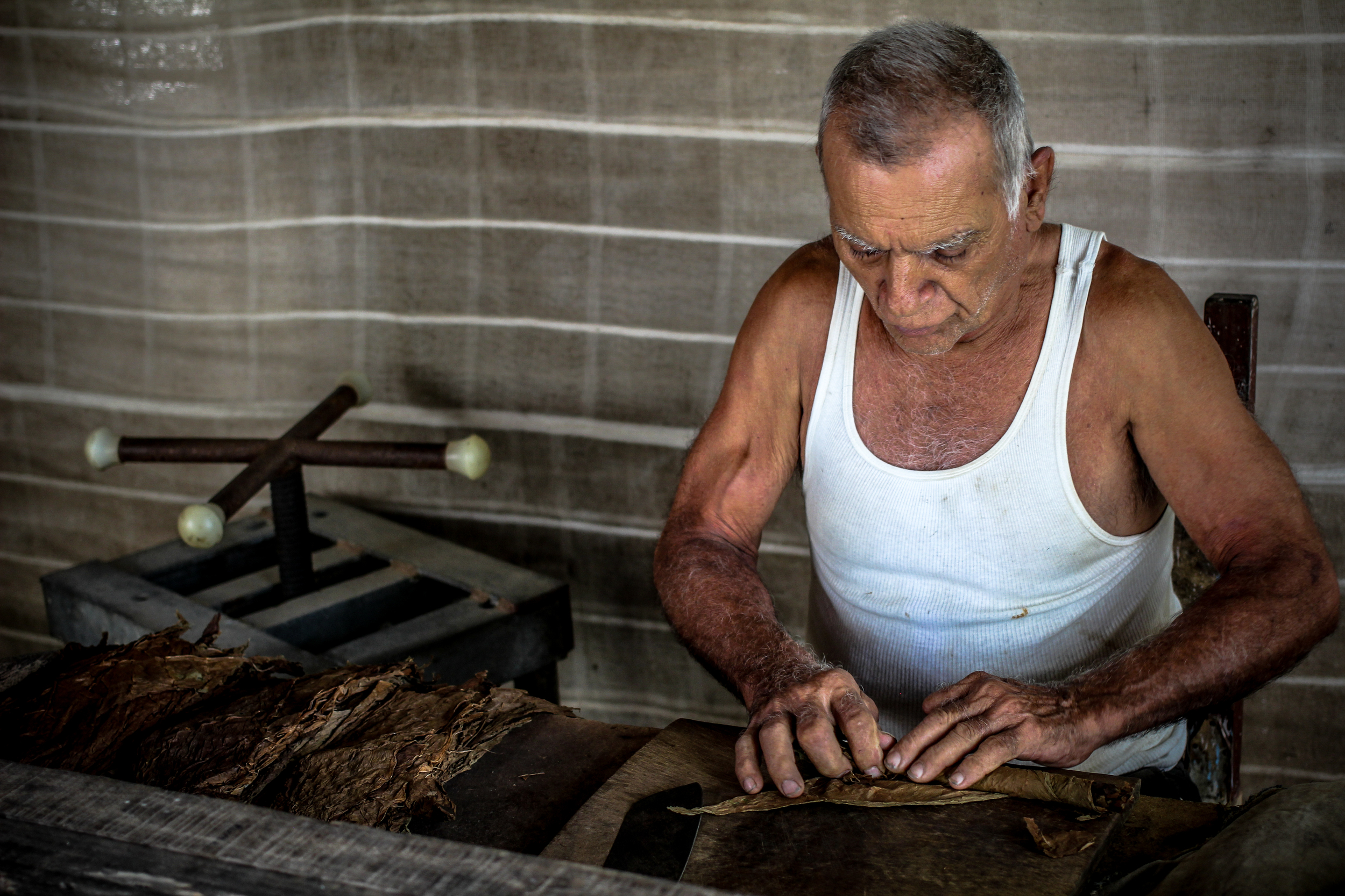 "Finca Robaina, Vinales, Cuba" 2013