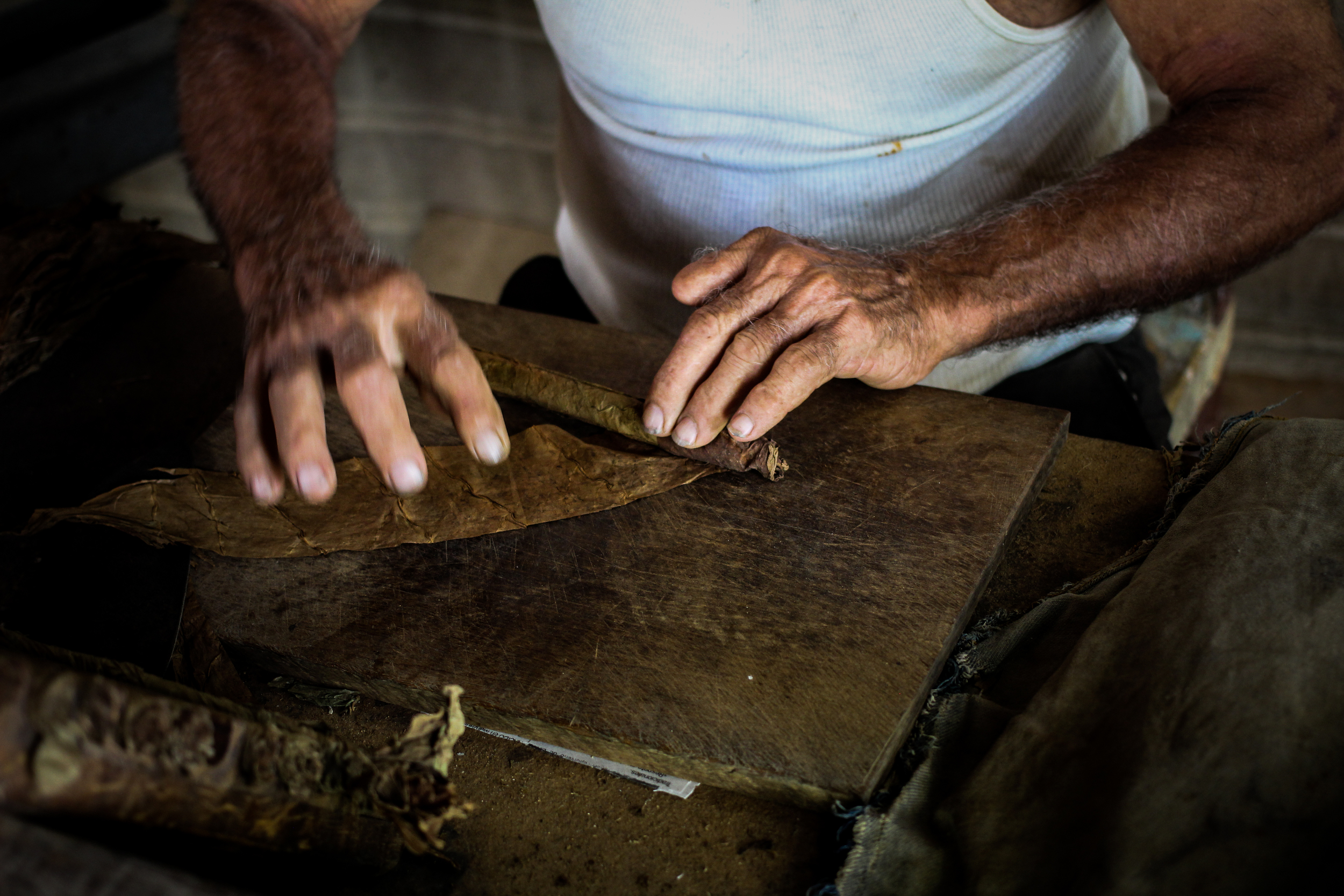 "Finca Robaina, Vinales, Cuba" 2013