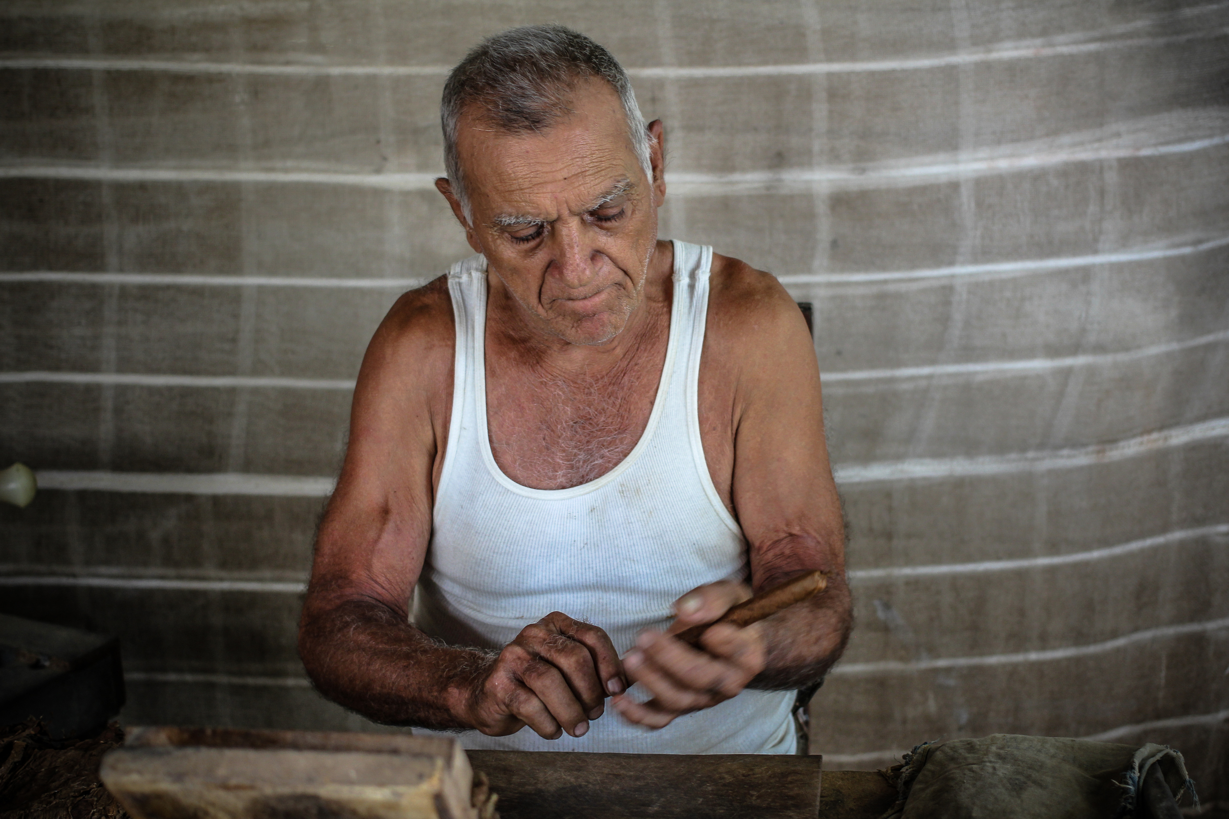 "Finca Robaina, Vinales, Cuba" 2013