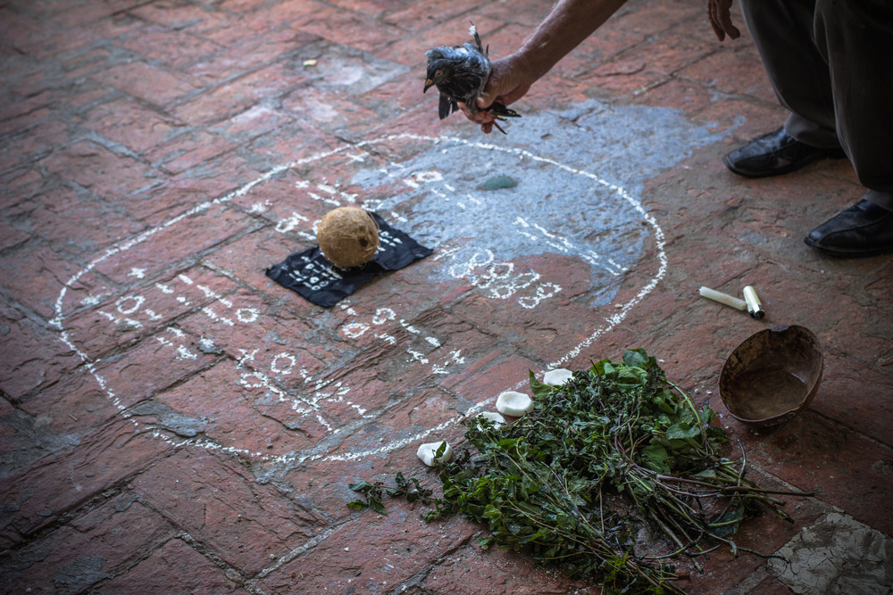 "Before the Ritual" 2013 The beginning of a cleansing Santería ritual to last approximately 6 hours, and after an intricate assemblage of the person’s profile drawn and translated onto cloths.The pigeon would be soaked in rum, and beat against the person’s face and body until the bird died.