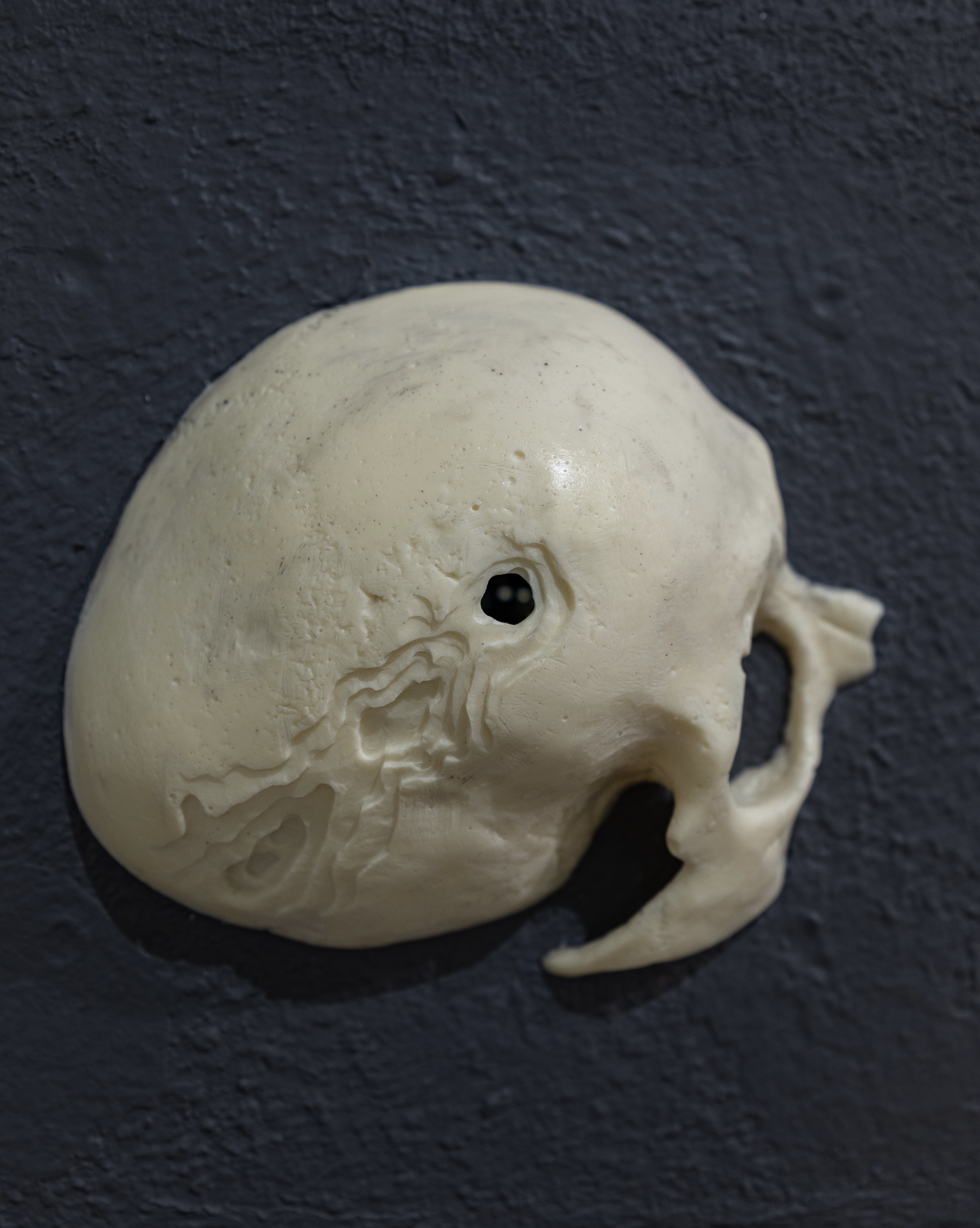 Screenshot 2026-02-26 at 4.22.58 PM.png