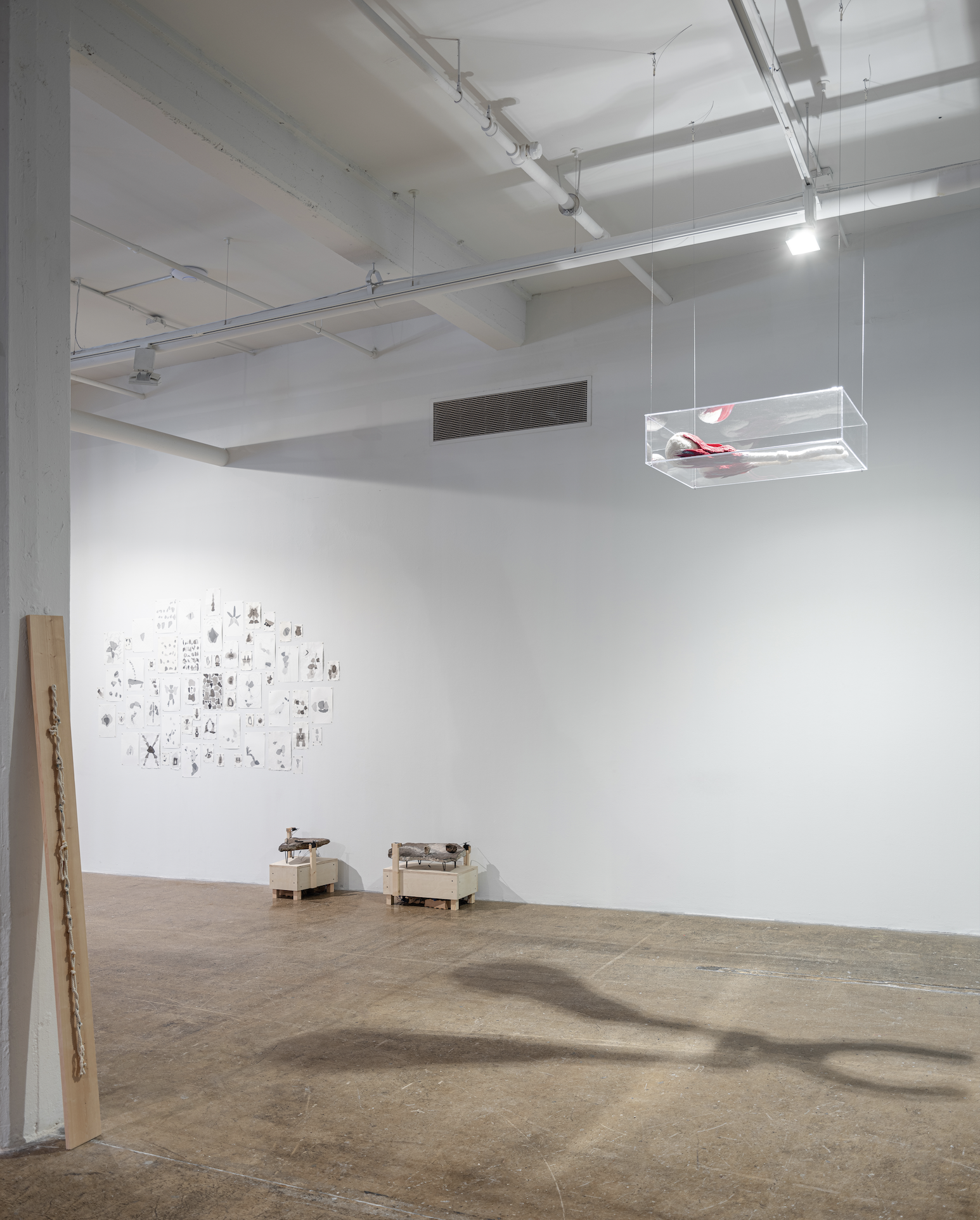 Screenshot 2026-02-26 at 4.47.40 PM.png