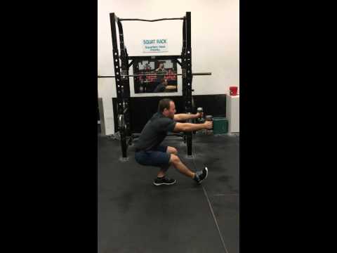 Single Leg Squat/Pistol