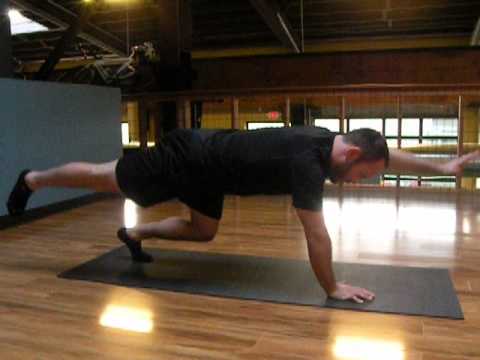 Quadruped Contralateral Lift On Toes