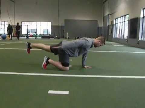 Quadruped Alternating Hip Shoulder Extension