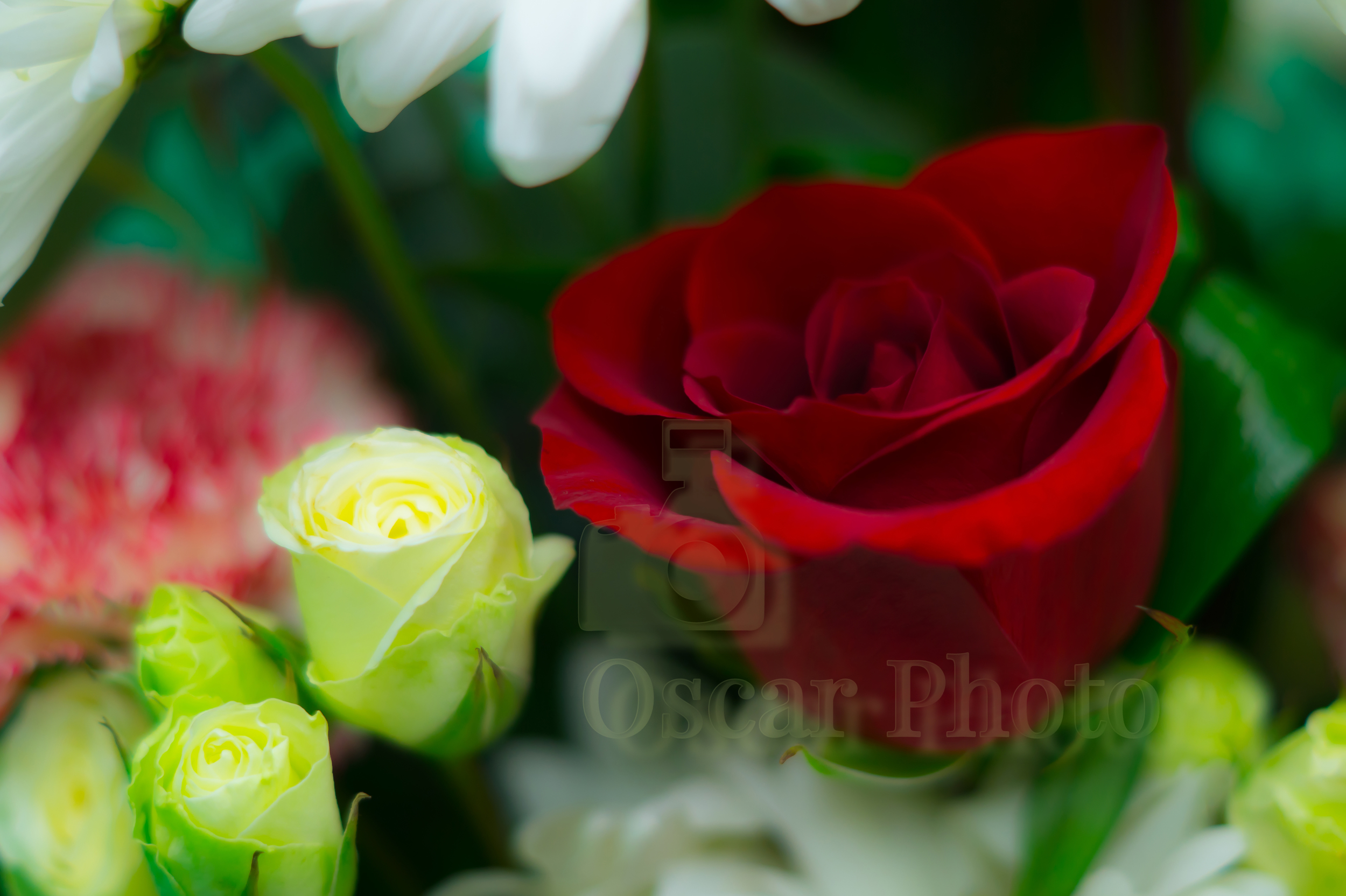 Flowers of San Valentine Day 2015