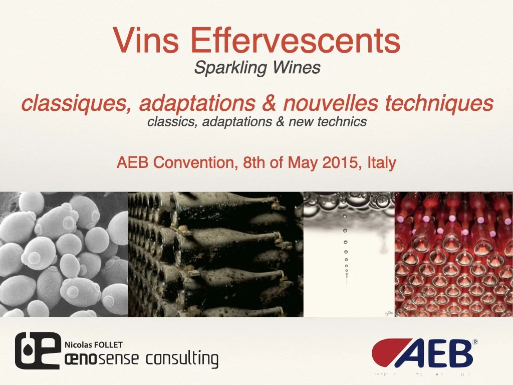 Vins Effervescents by Oenosense 2015 - En:It.001.jpeg