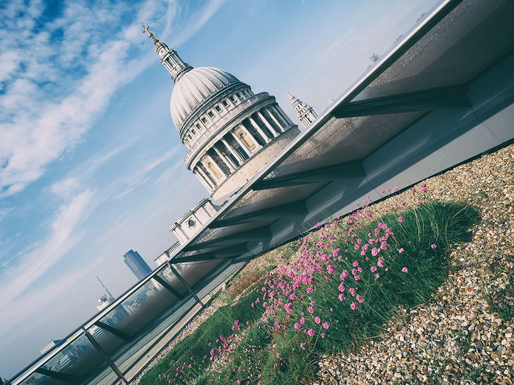The Best View of St Paul's Cathedral is from the Roof of One New Change