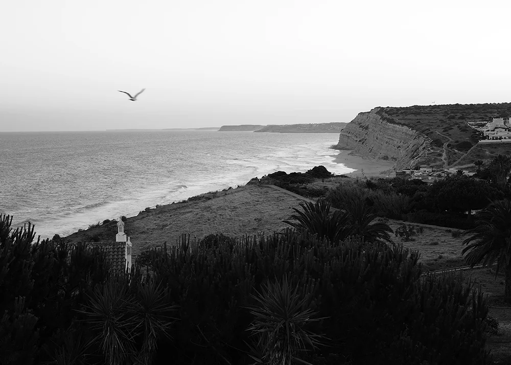 The view from the house...