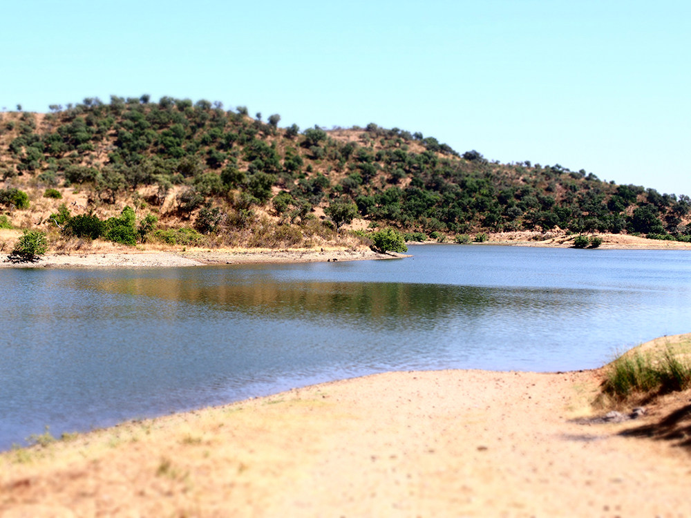 At times it's hard to believe we're still in Portugal and not Africa.