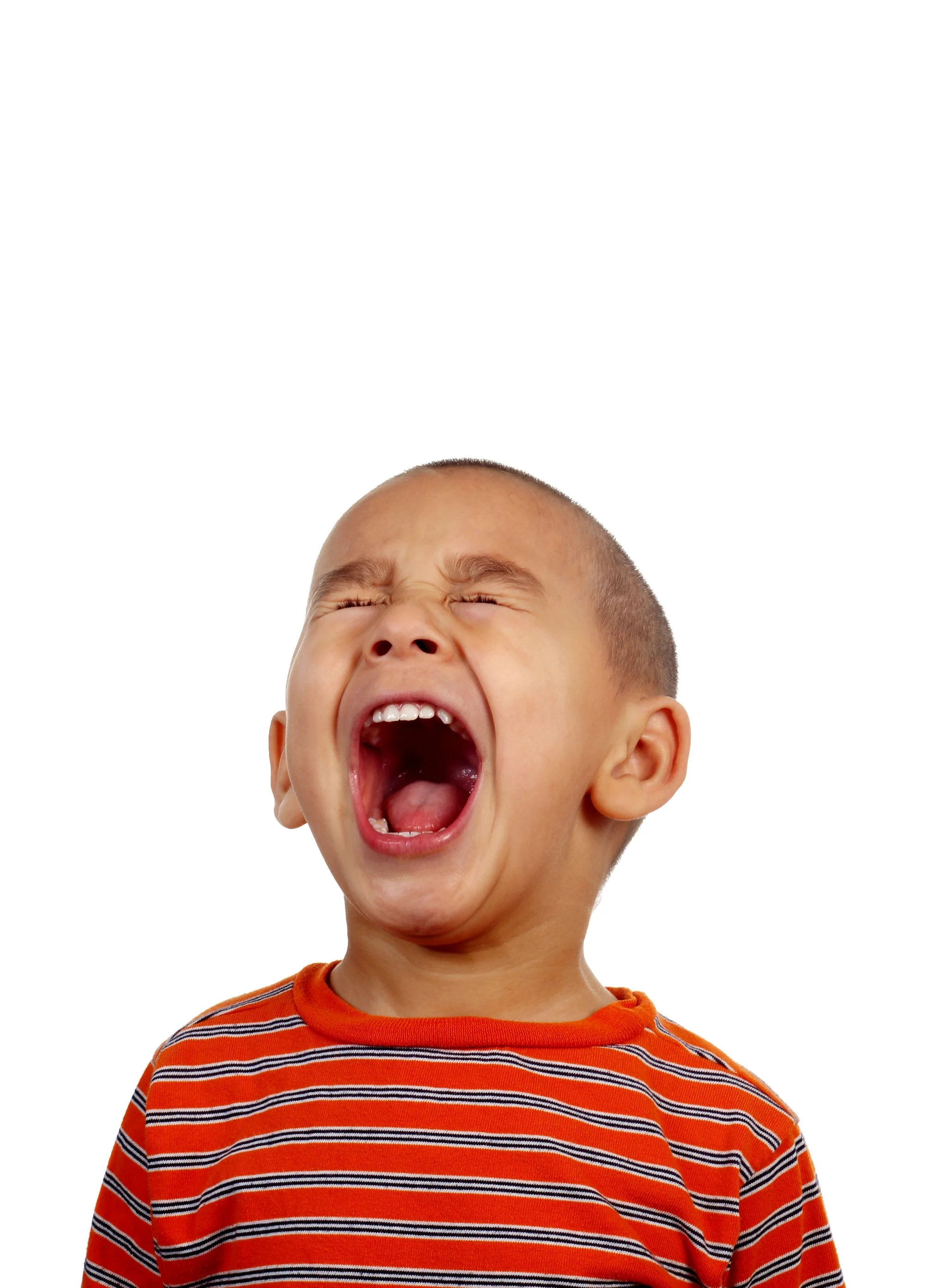 shutterstock_13887196.jpg