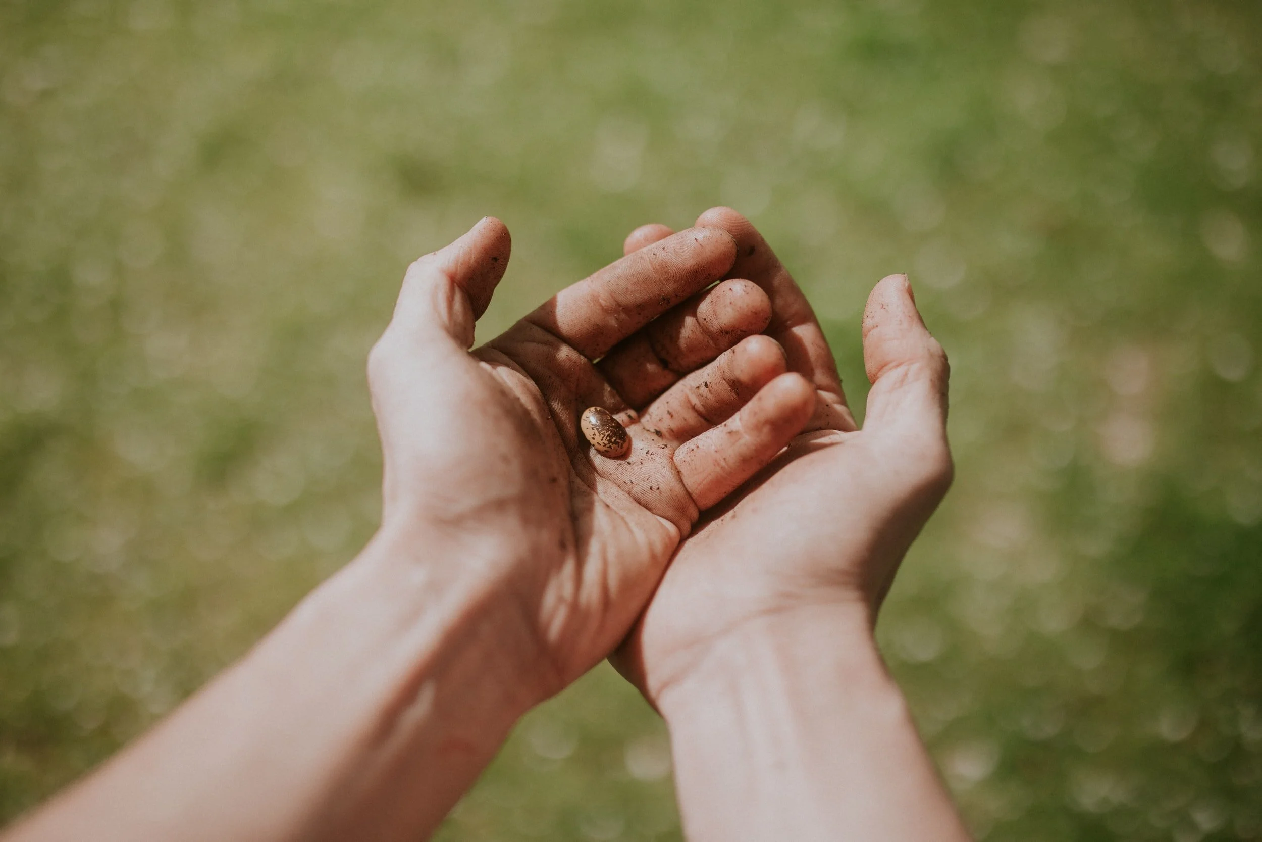 How to Realize and Release Your Potential