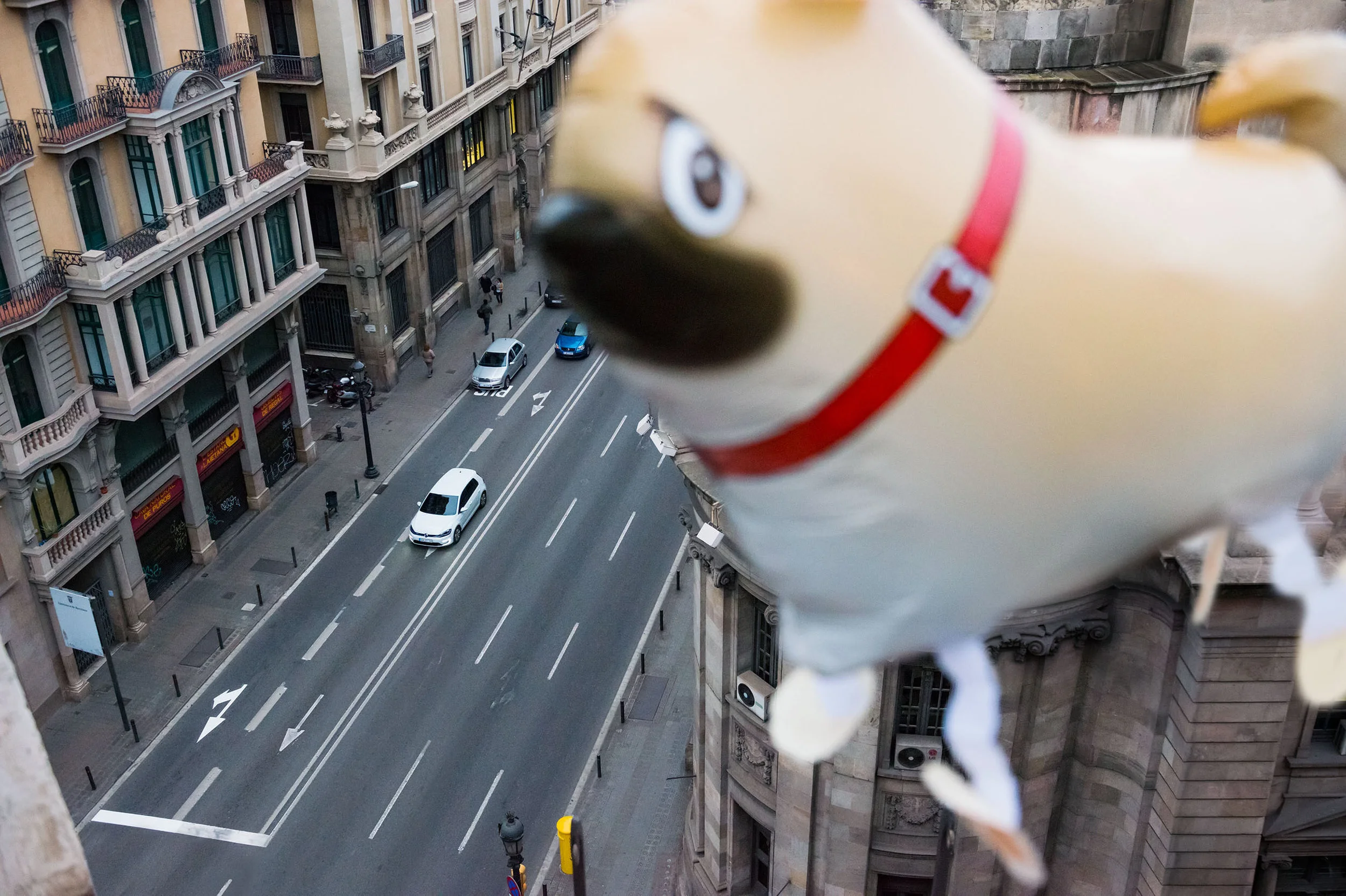 VW_RGB_Bolero_D006_54_Balloon_A012548-1.jpg