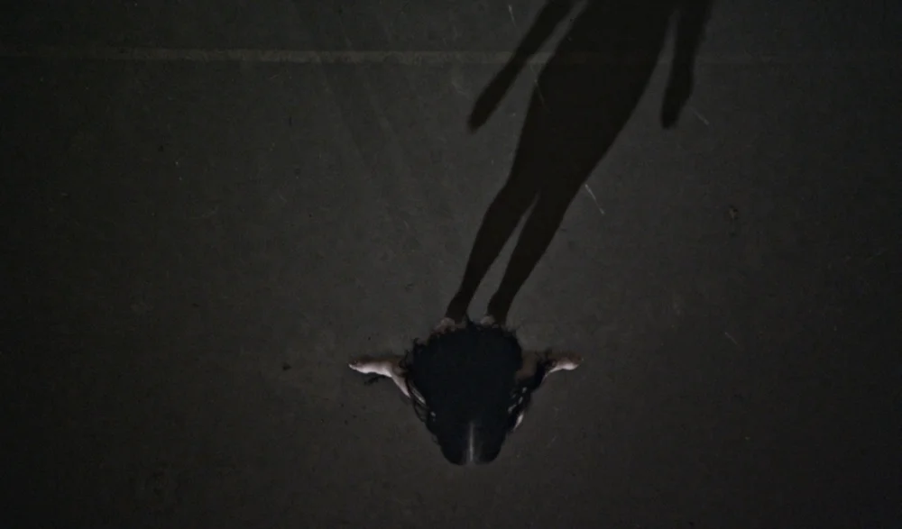 Still from 130919 • A Portrait of Marina Abramovic, 2013
