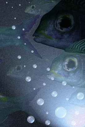 danger water-WEB.jpg