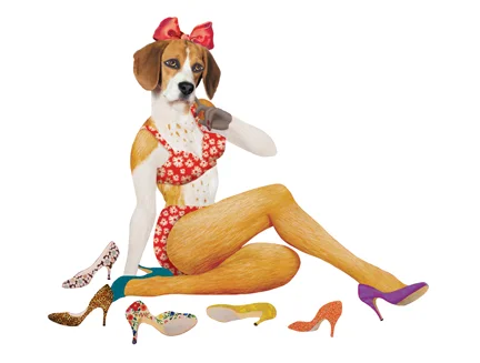 Daisy (American Beagle)