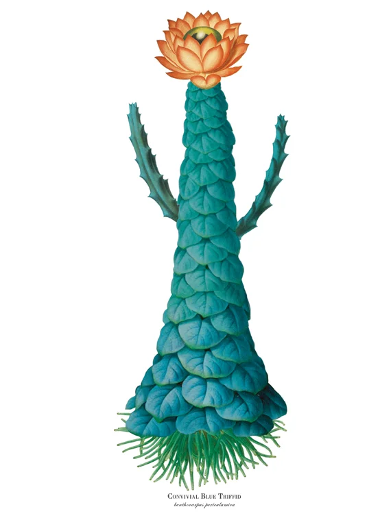 "Convivial Blue Triffid"