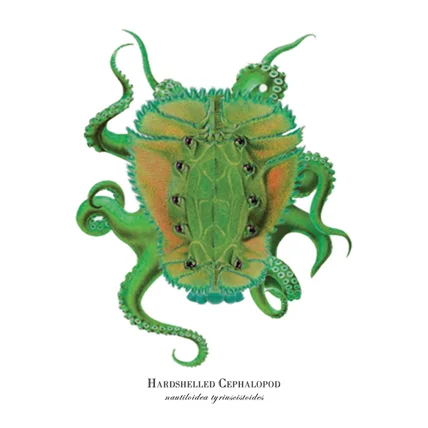 hardshelled_cephalopod_thumbnail.jpg