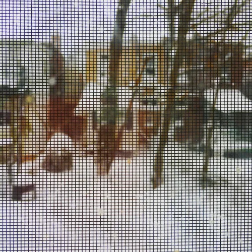 winter_screen_window.jpg