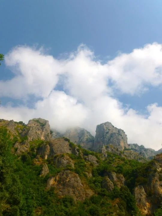 Dr. Witt, "On Being Energy Rich"