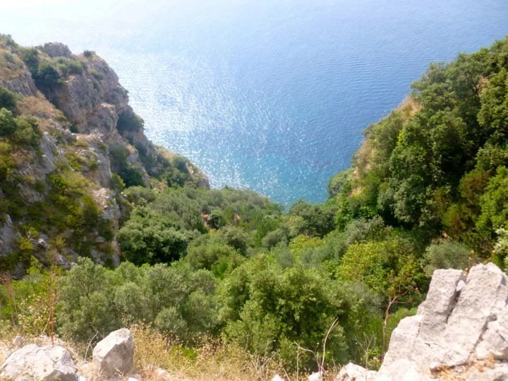 photo 5.JPG