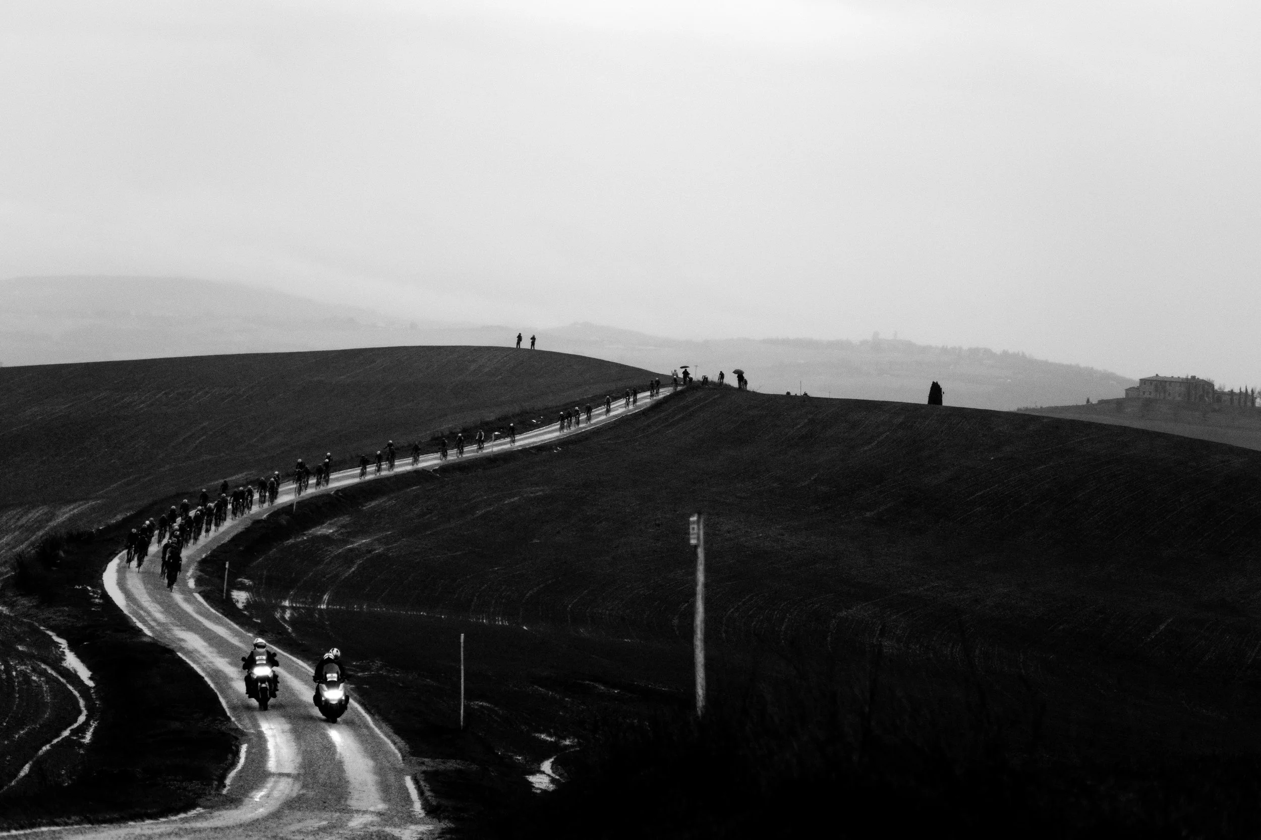 D5X_5949.jpg