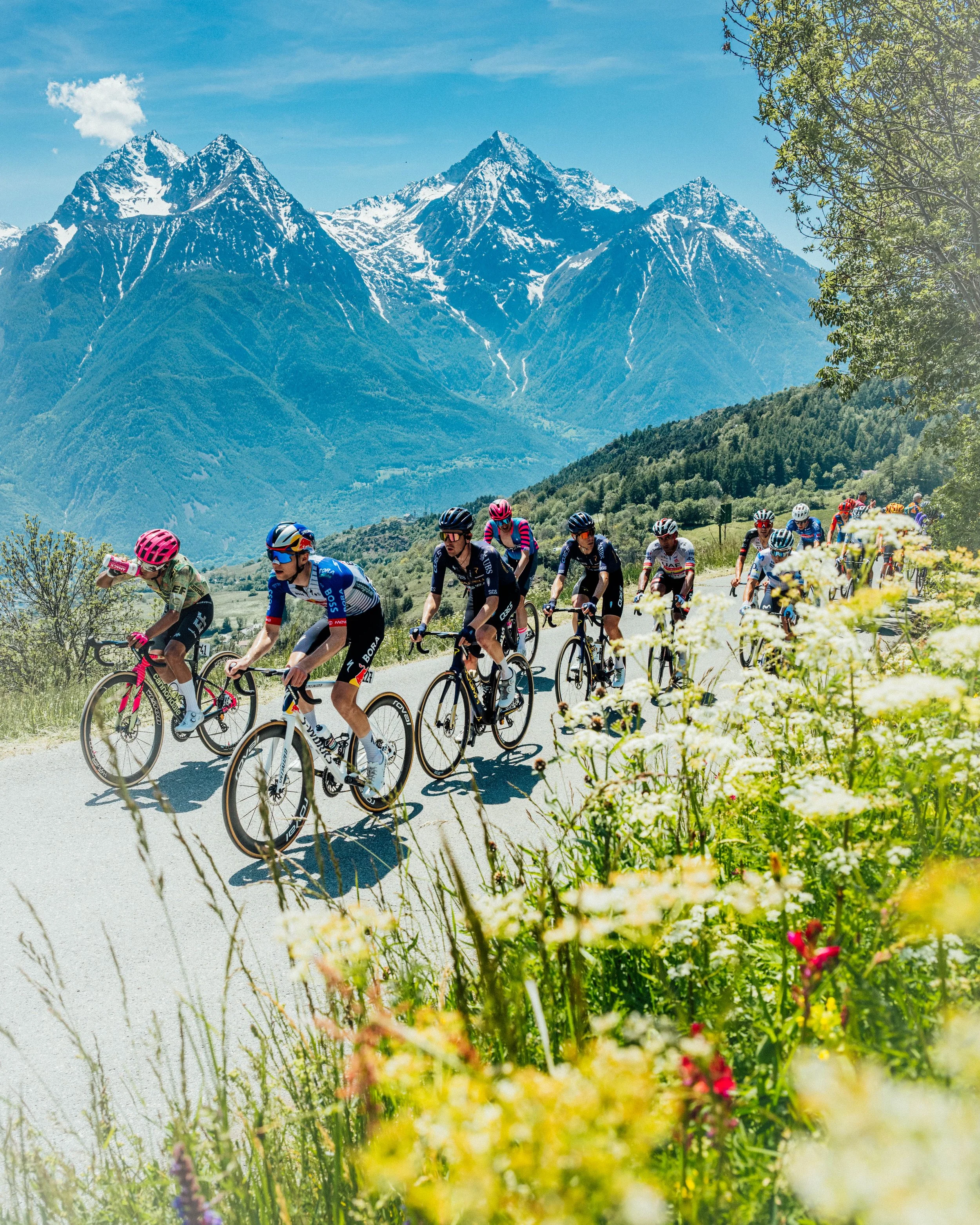 cyclingimages-Giro 2026-Stage 14-832388.JPG