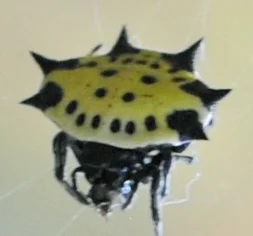 It's smiling, at least.