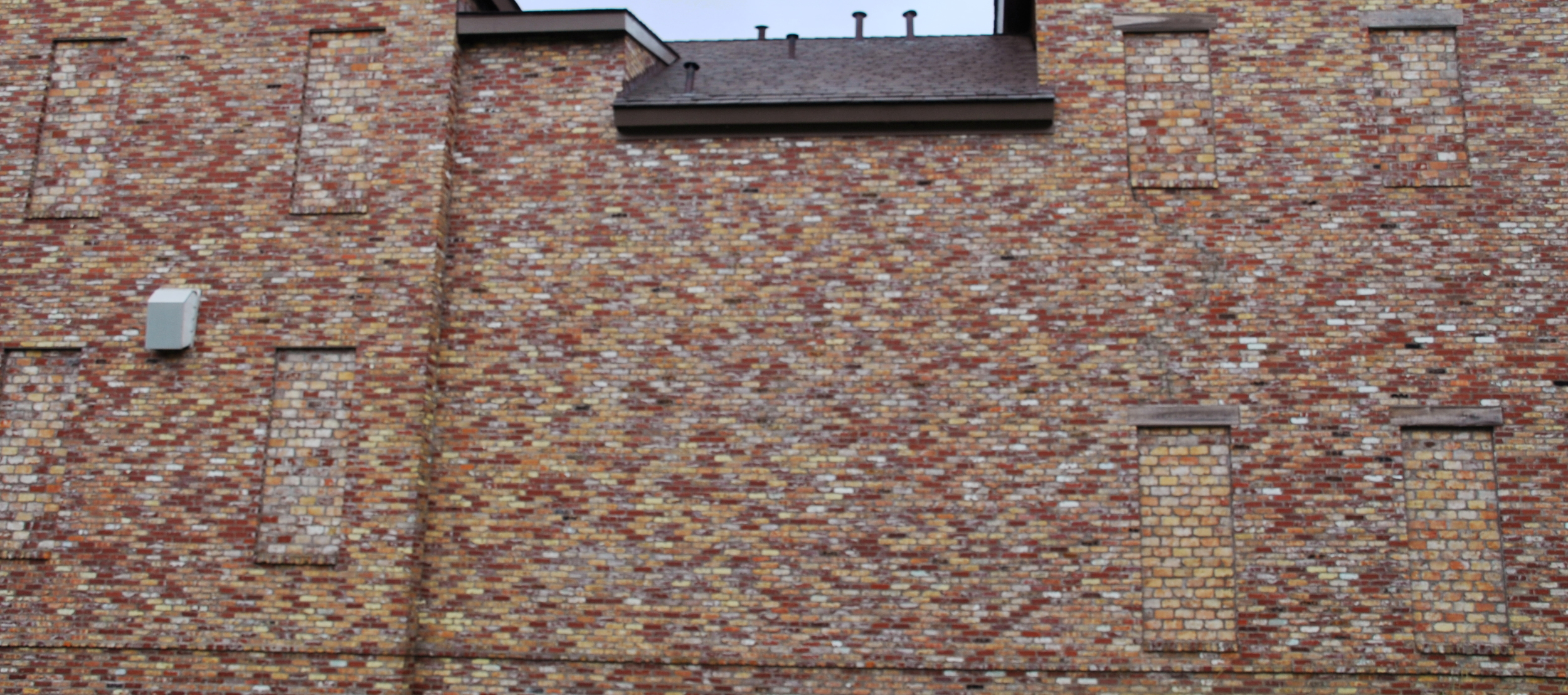 This resident bricked up all his windows to avoid the rampant crime problem.