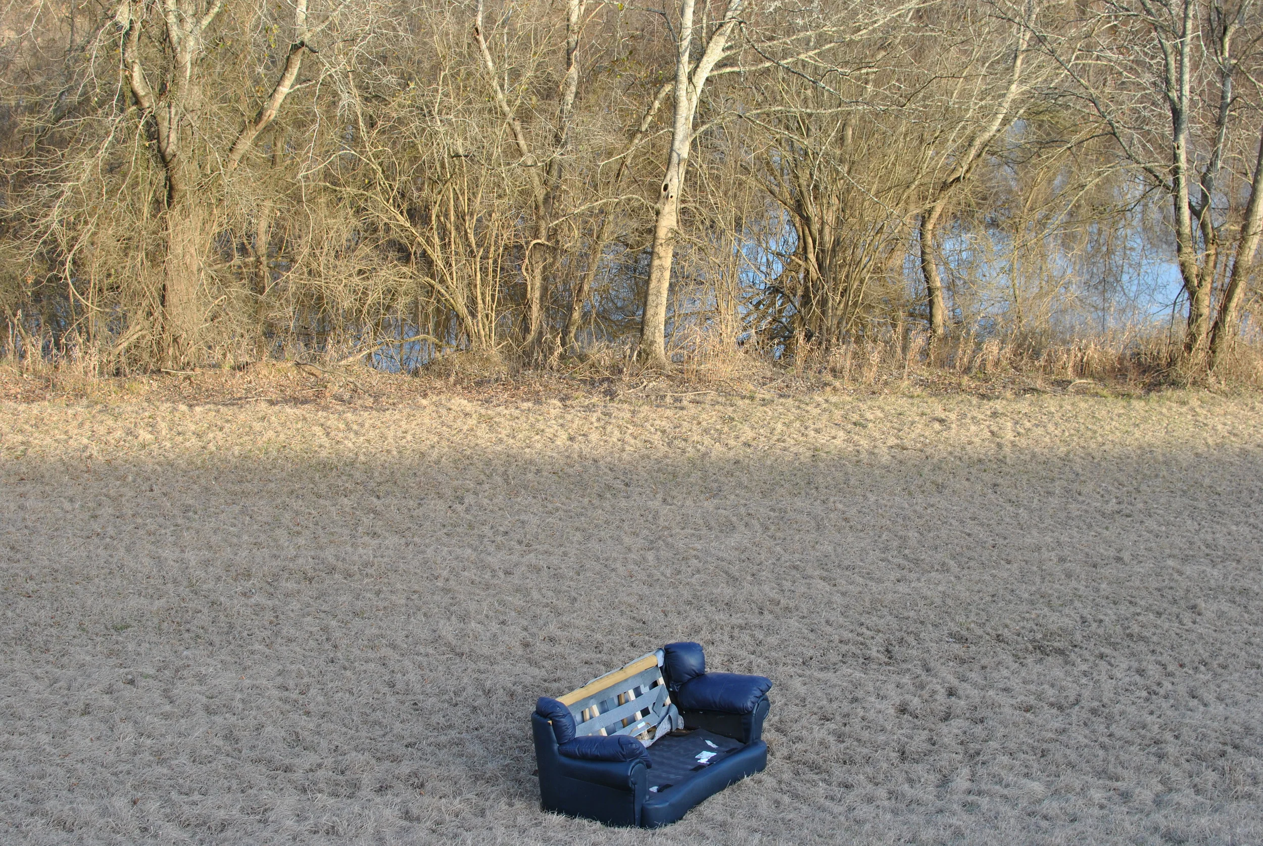 The humble couch, in it's natural habitat, after Craigslist has dumped it from the spawning grounds.