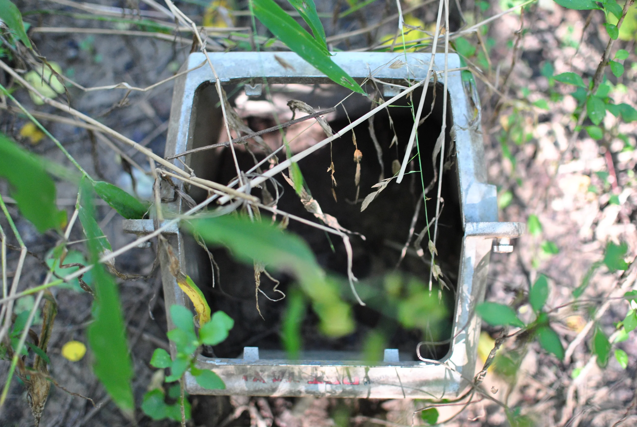 Excuse: "I was locked into a small cage in the woods." Only works if you can fit in said cage.