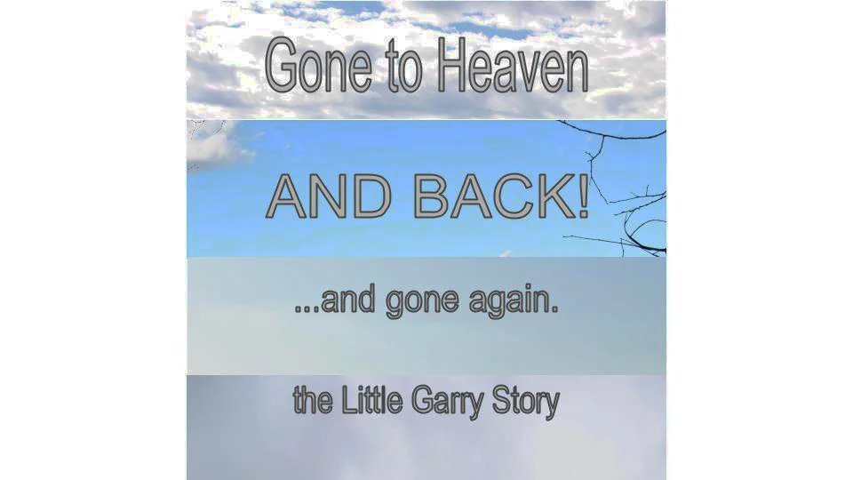The Little Garry Story is not to be confused with The Little Donny Story.