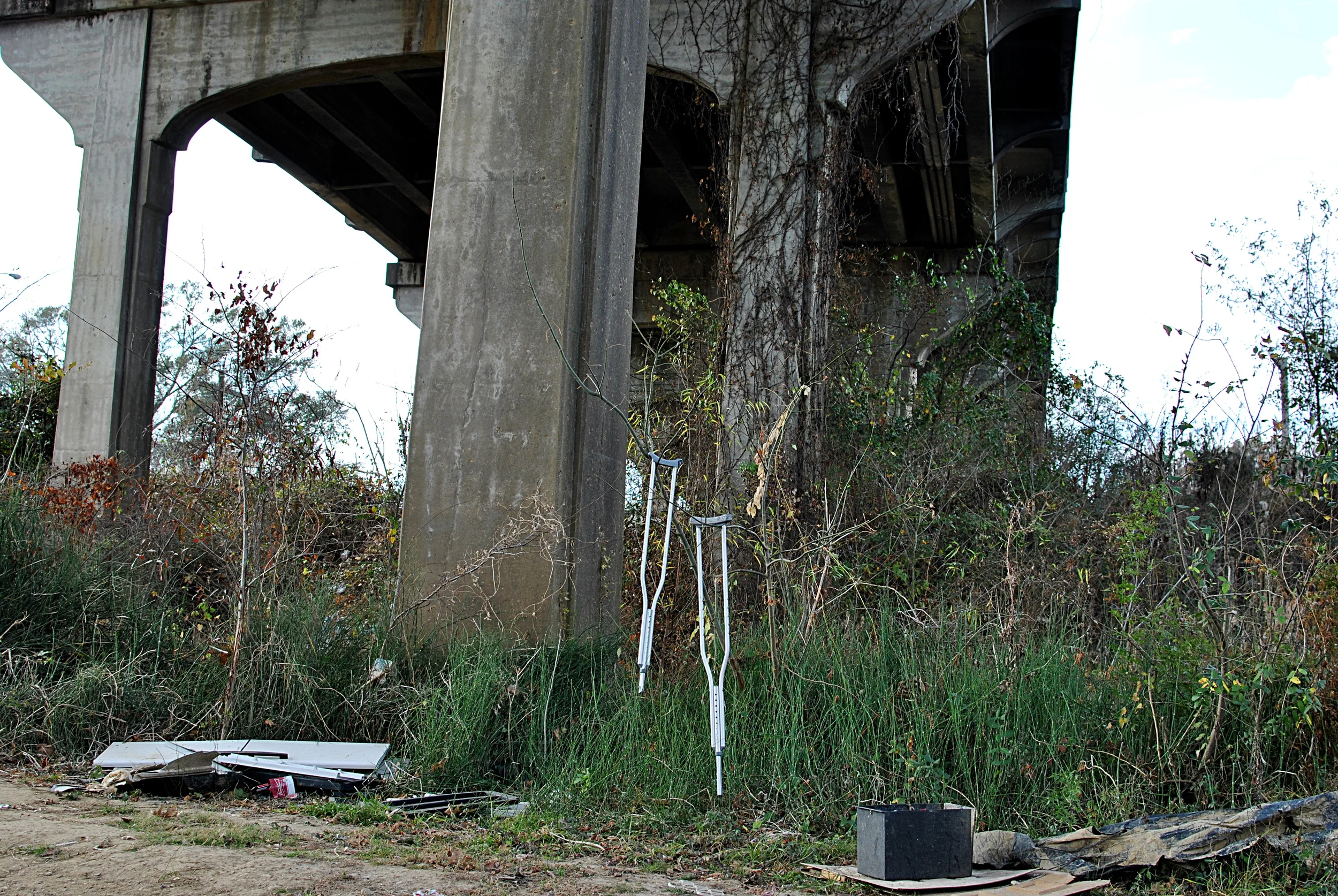 Here, the trail comes under Highway 80, which crippled this tree.