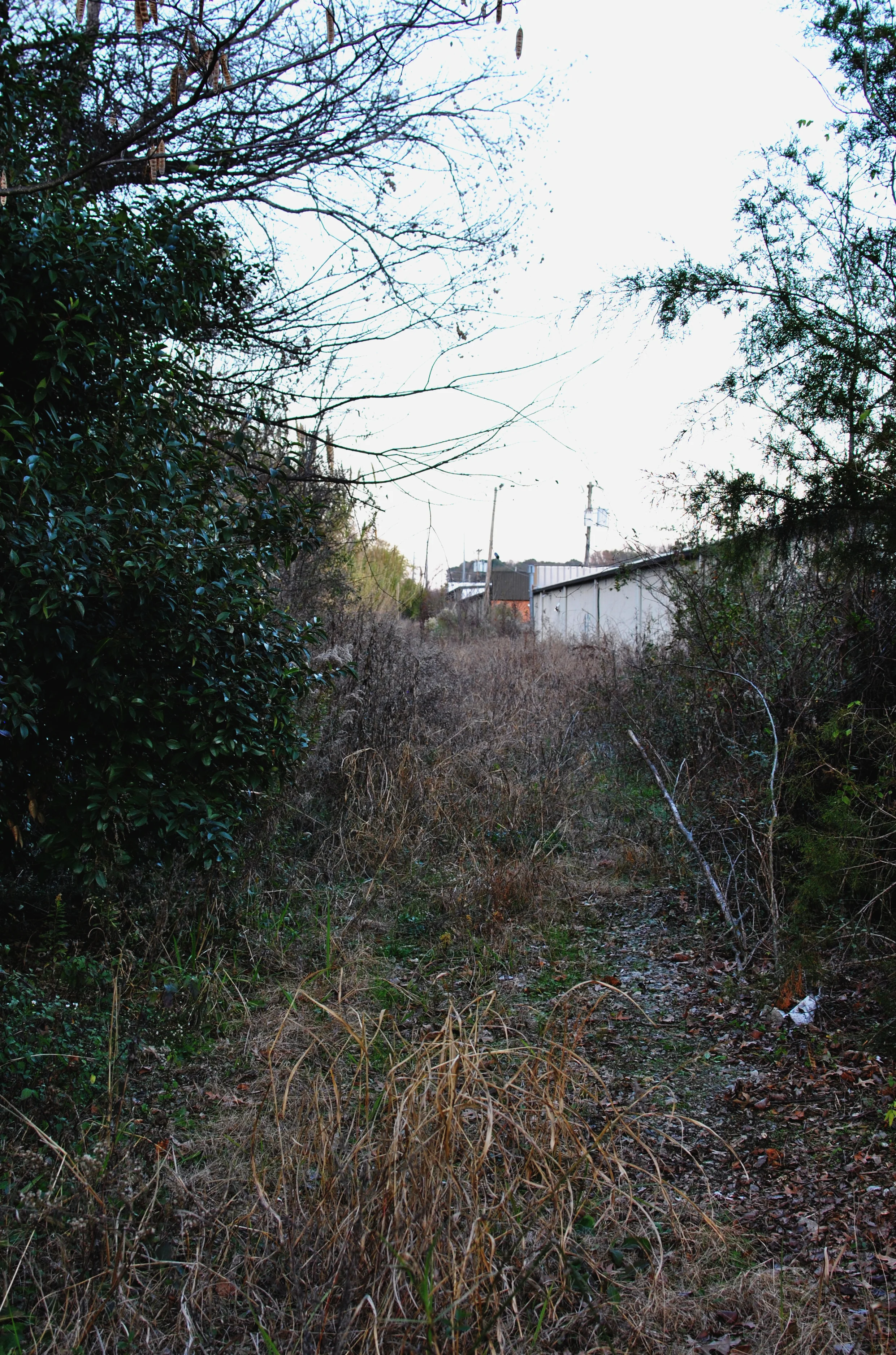 Most of the walking was super-boring because I wasn't on a sweet bike. This is just a small sample of what I go through to bring you the stunning vistas of trash and abandoned shoes that you see.