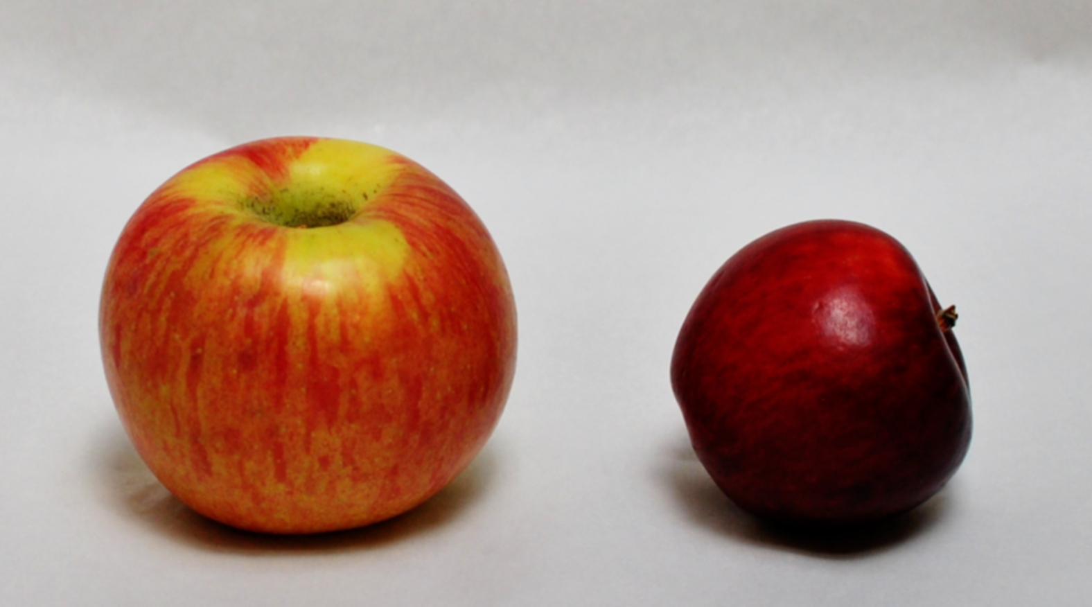 Did you know that Malic Acid makes green apples and wine tart? Yeah, it's a super-boring fact.