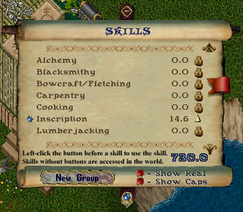 Which is not pictured here. Nor are the skills I wanted to develop. There's a metaphor there, kids.