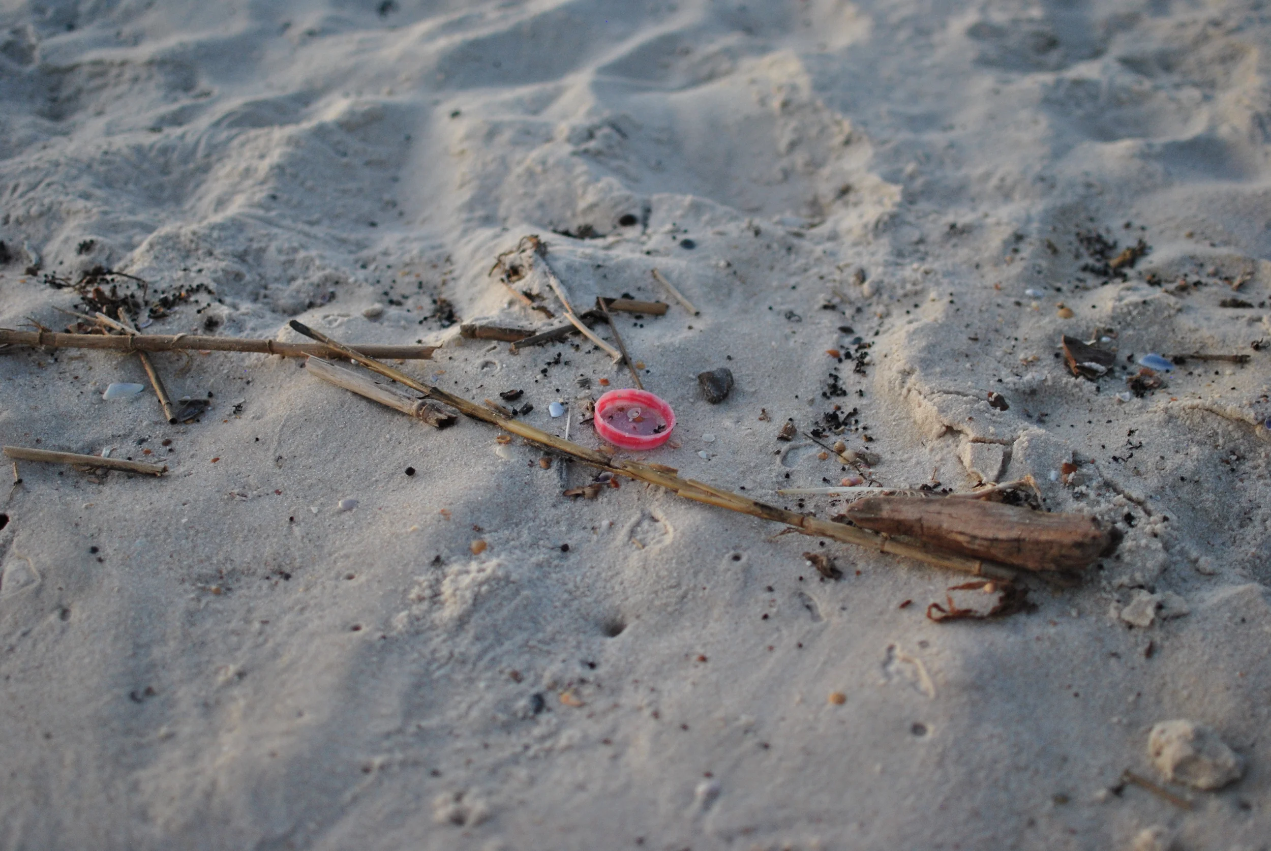 Pictured: The Red Chalk Floater