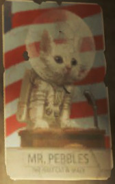 Here's Mr. Pebbles, the first cat in space, in case things got a bit dark there, or you're from a college and need this by now.