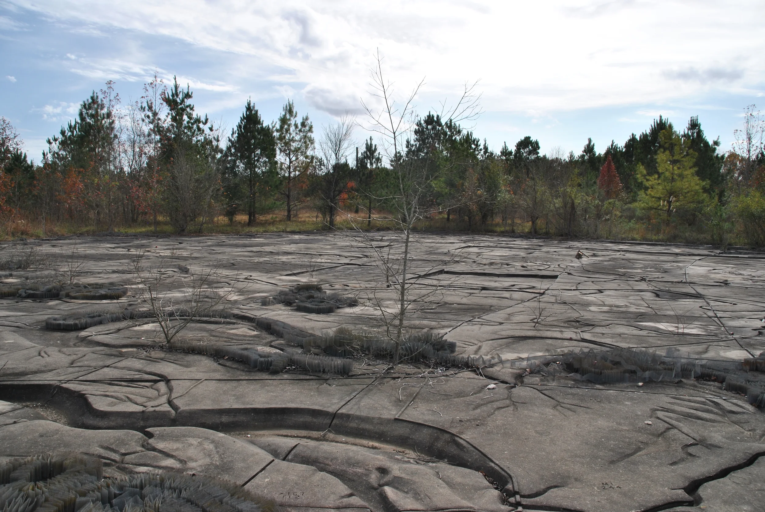 Blasted wastelands.