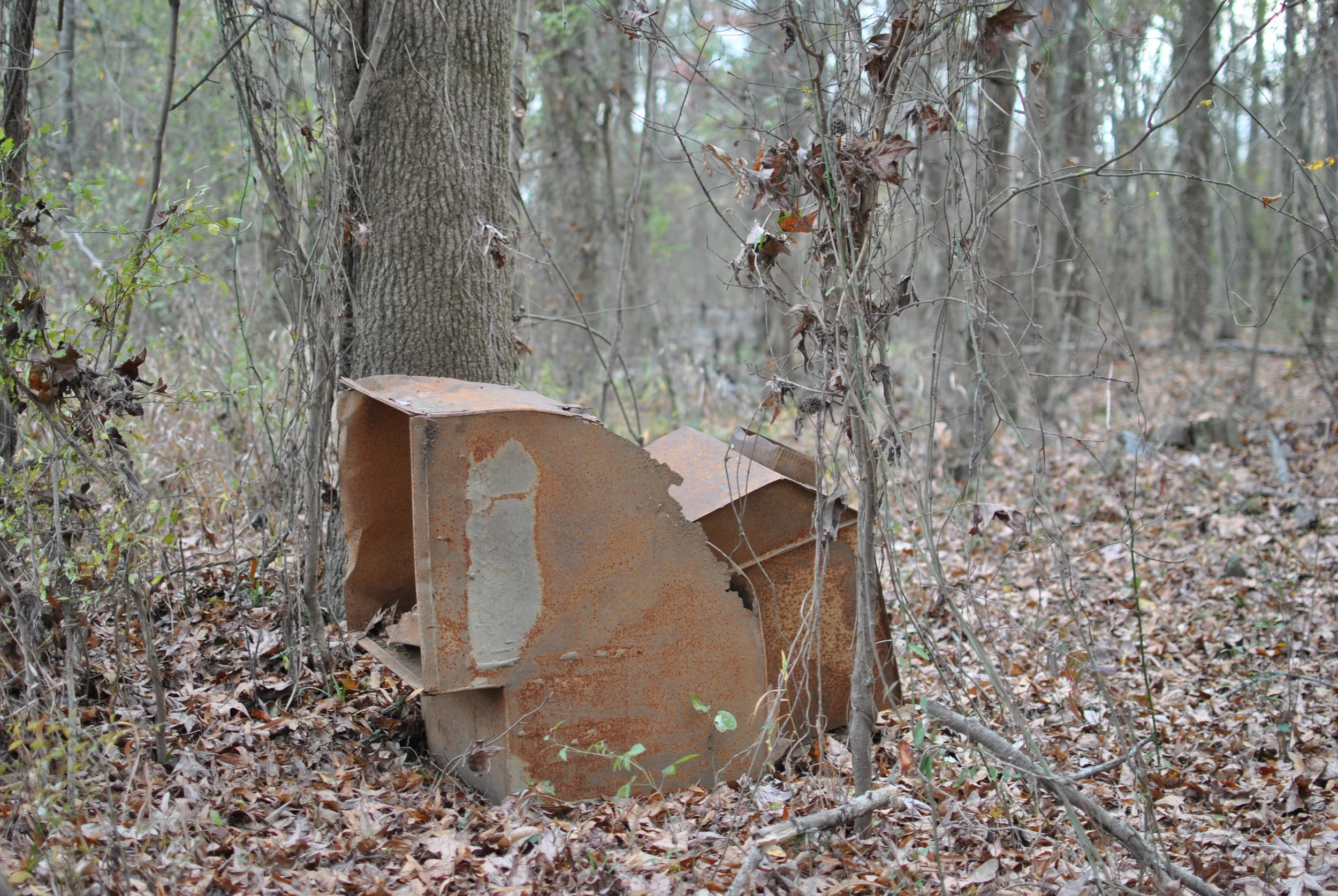 Pictured: The tunnels through which Phil Bryant emerged from the woods to go and give his speech.