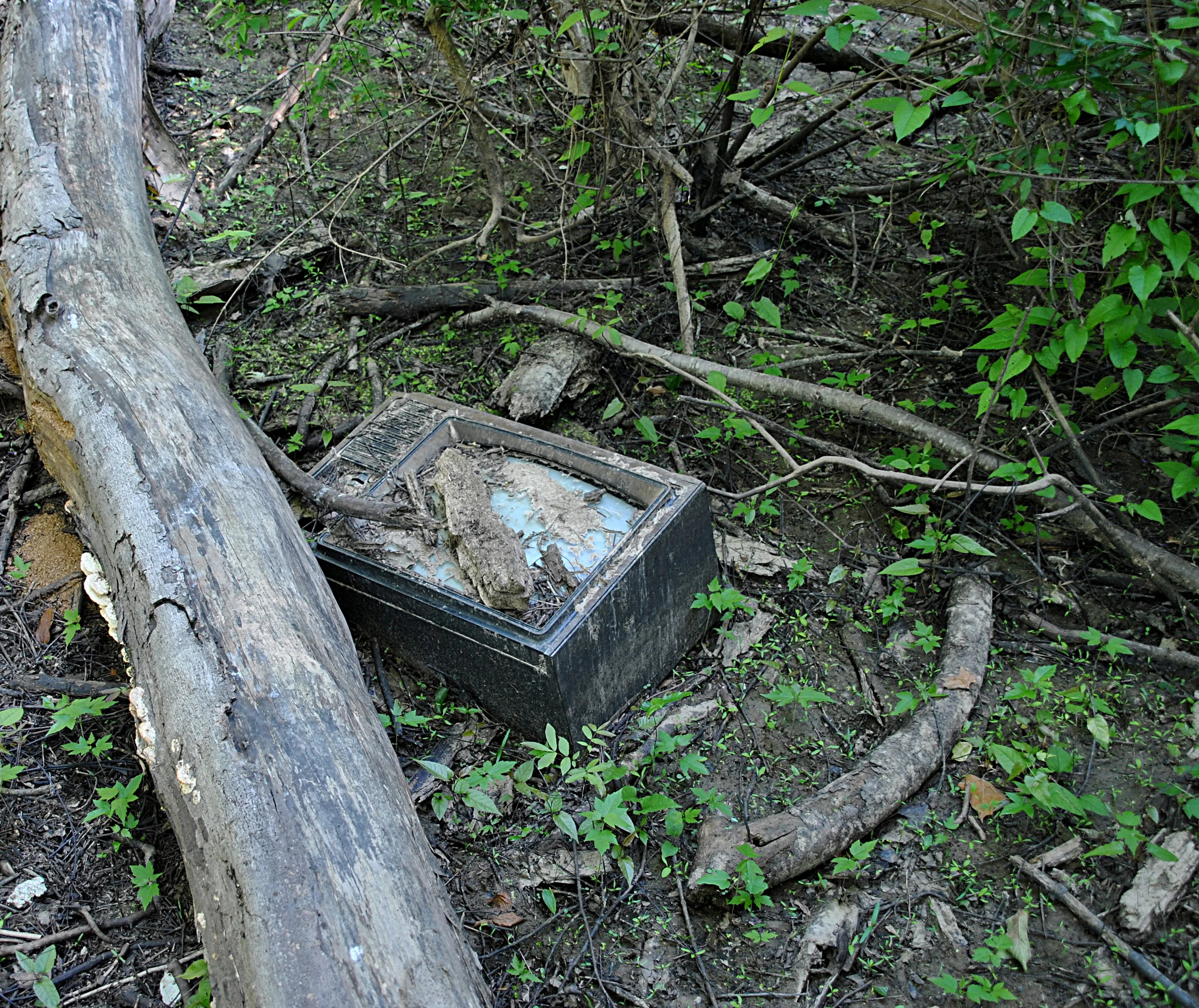 The lone video recording unit that captured this historic moment.