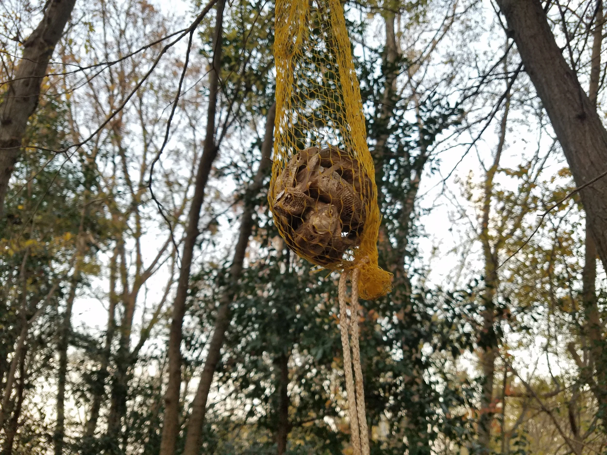 #13: Fish Head Scented Air Freshener