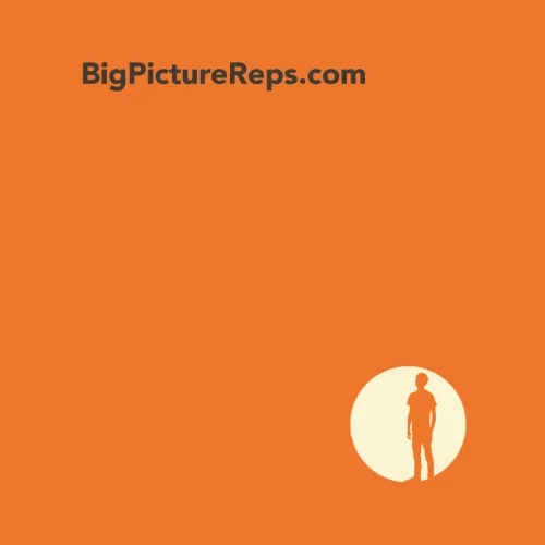 Big Picture Reps, Artist Representatives